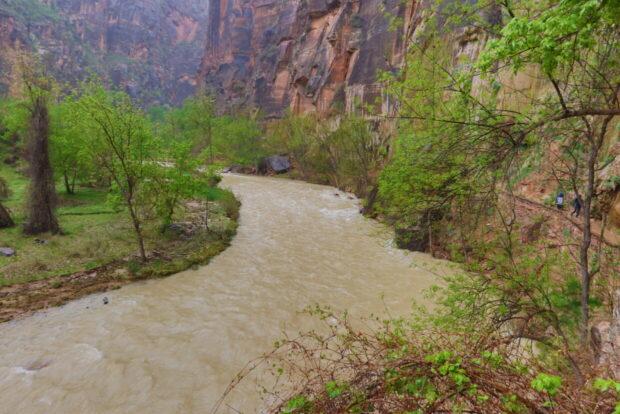 Zion National Park Utah Usa