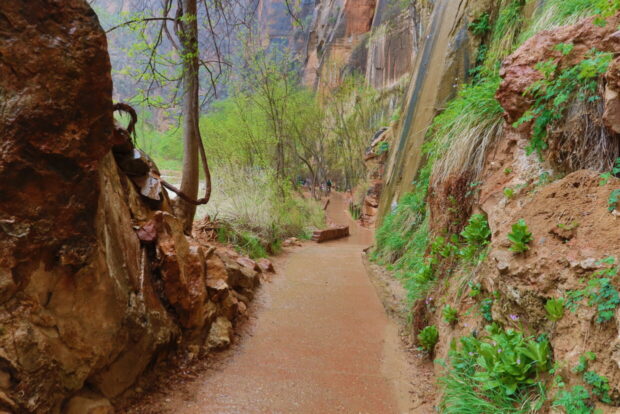 Zion National Park Utah Usa