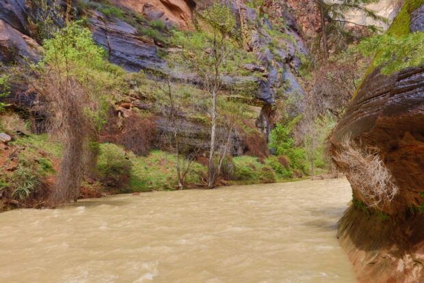 Zion National Park Utah Usa