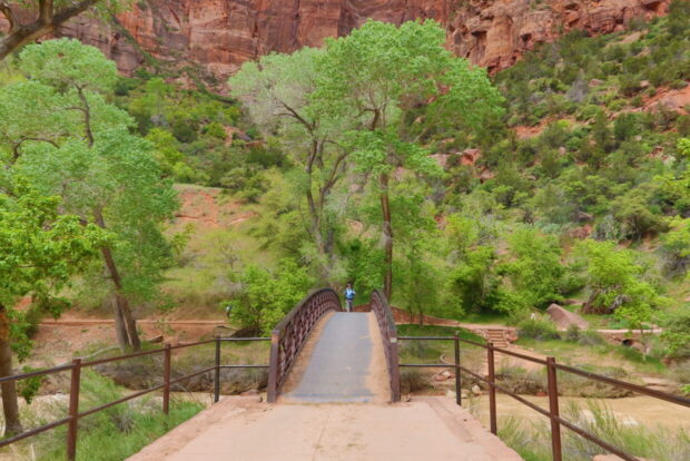 Zion National Park Utah Usa
