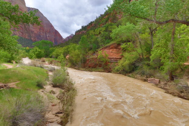 Zion National Park Utah Usa