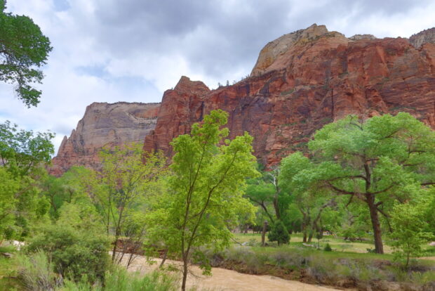 Zion National Park Utah Usa