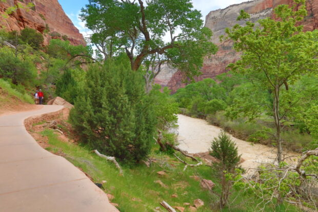Zion National Park Utah Usa