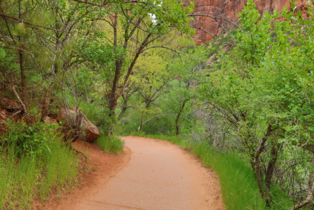 Zion National Park Utah Usa