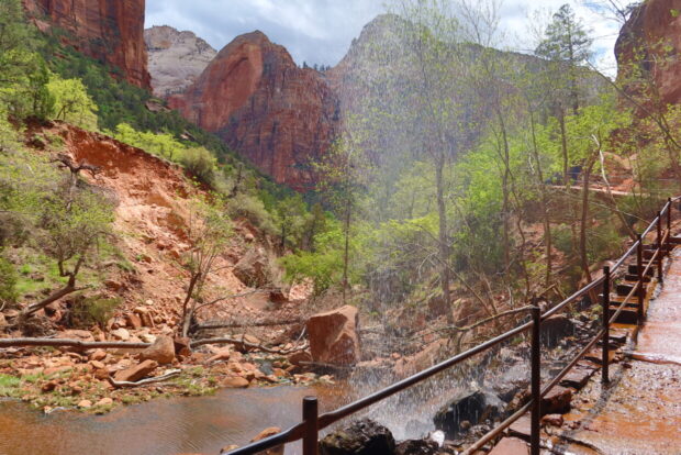 Zion National Park Utah Usa