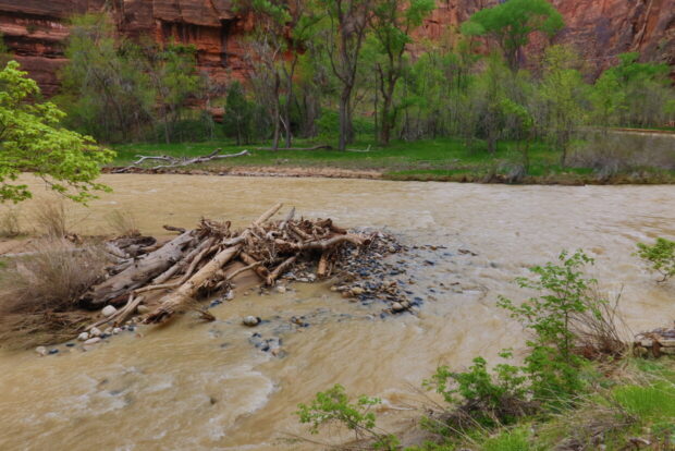 Zion National Park Utah Usa