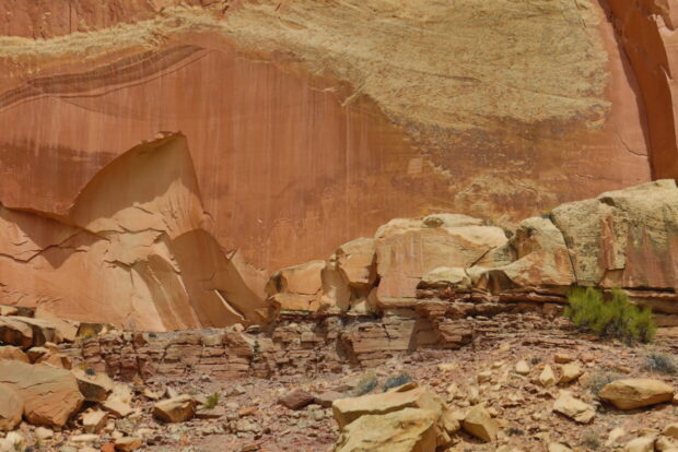 Capitol Reef National Park