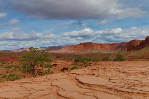 Capitol Reef National Park