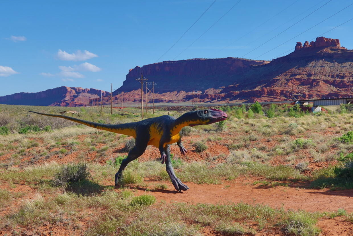 Moab Giants Utah