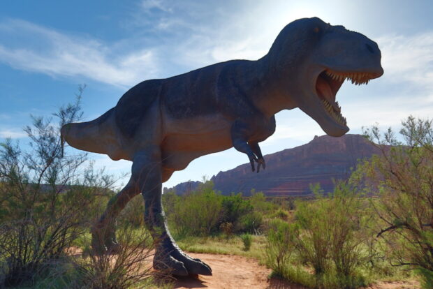 Moab Giants Utah