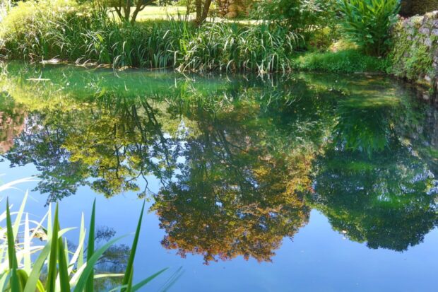 Giardino di Ninfa Lazio