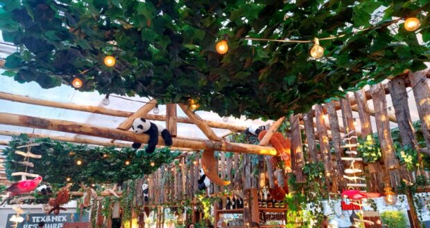 mexican Jungle