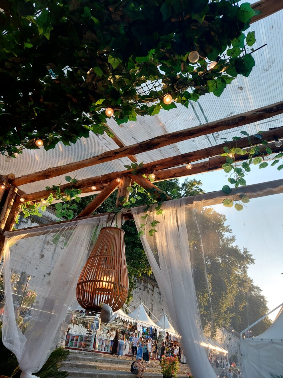 mexican Jungle