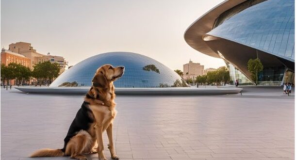 valencia pet friendly
