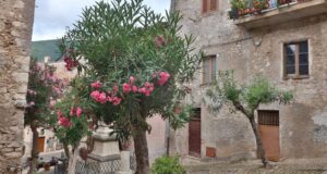 Visitare Sermoneta Lazio