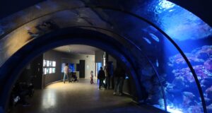 Acquario civico e stazione idrobiologica di milano