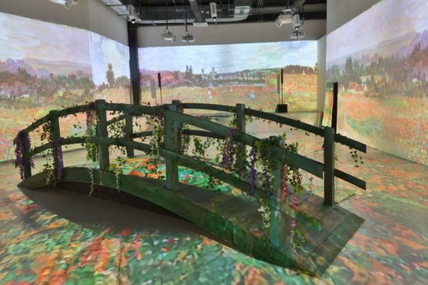 Monet e gli impressionisti next museum roma