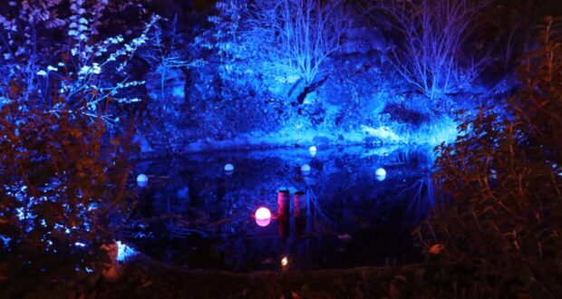 Trame di Luce 2024