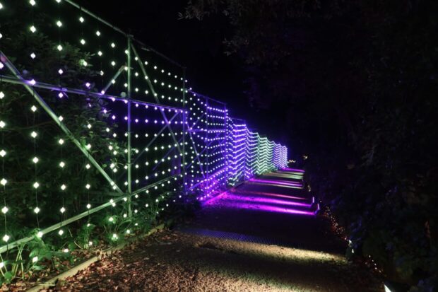Trame di Luce 2024