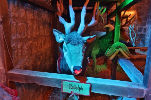 Viterbo Christmas Village 2024