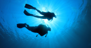 immersioni alle maldive