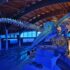 Museo di Storia Naturale del Mediterraneo Livorno