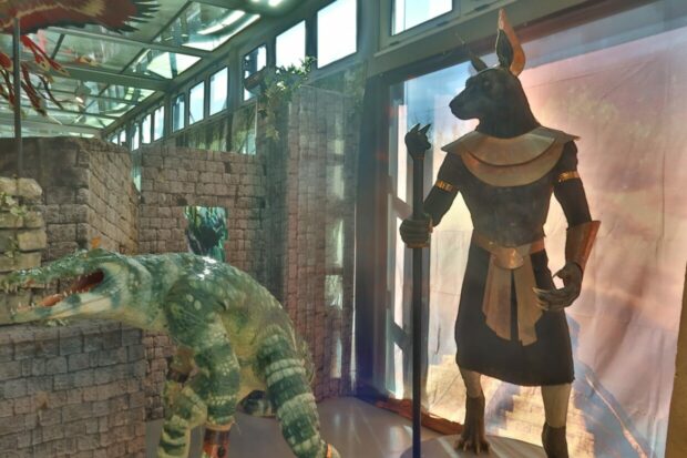 Museo di Storia Naturale del Mediterraneo Livorno