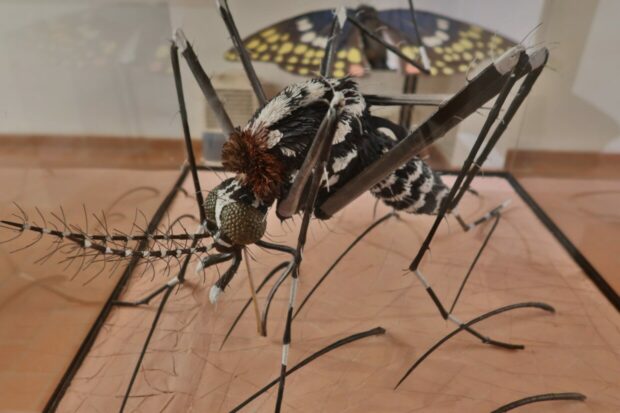 Museo di Storia Naturale del Mediterraneo Livorno