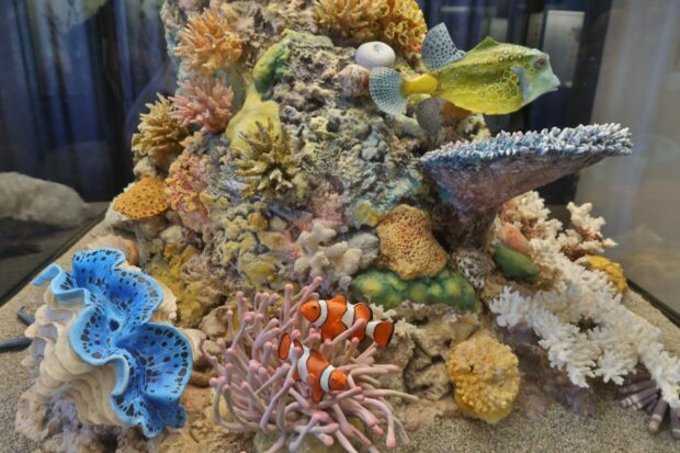 Museo di Storia Naturale del Mediterraneo Livorno