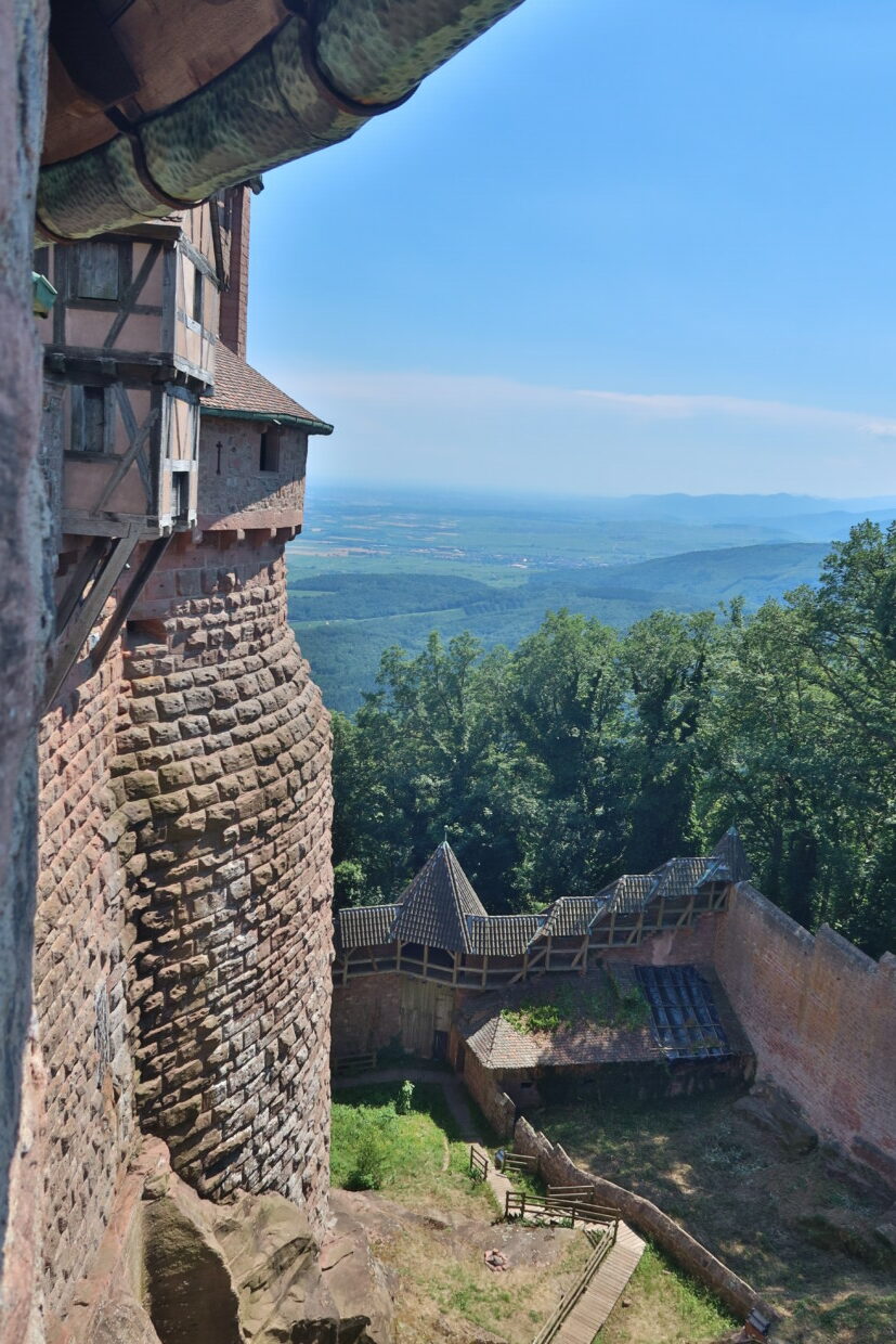 Castello di Haut-Kœnigsbourg Alsazia