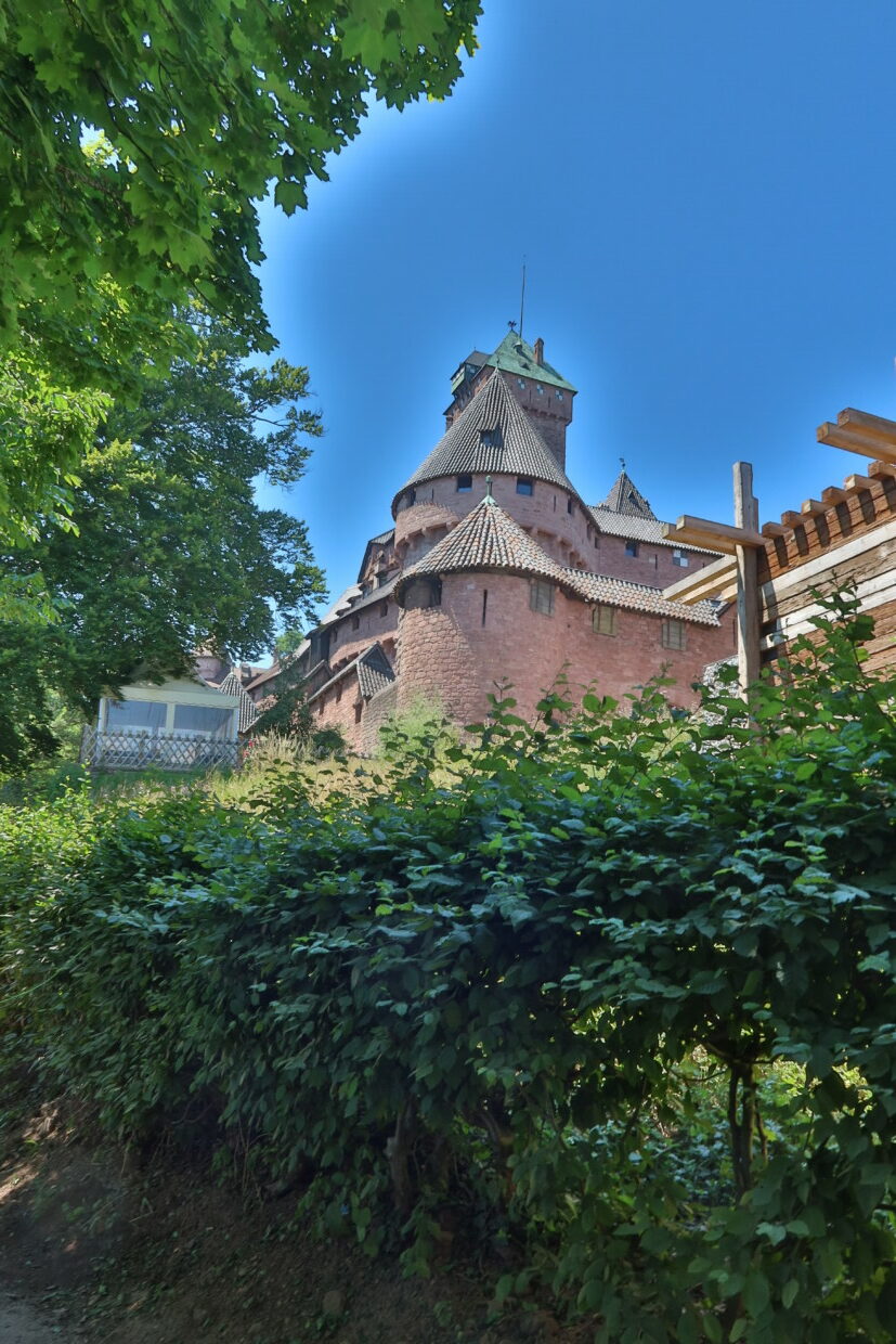 Castello di Haut-Kœnigsbourg Alsazia