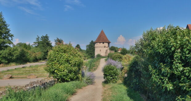 Cosa vedere a Bergheim Alsazia