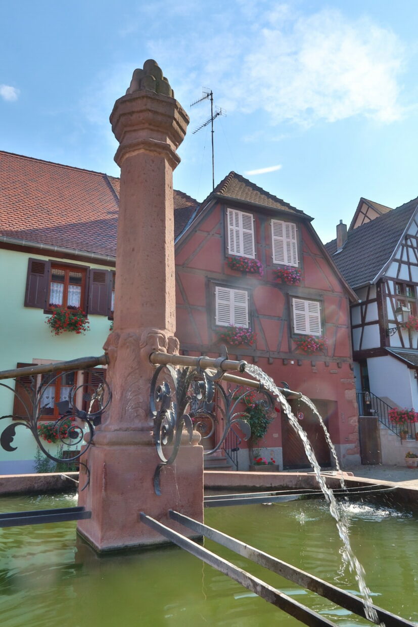 Cosa vedere a Bergheim Alsazia