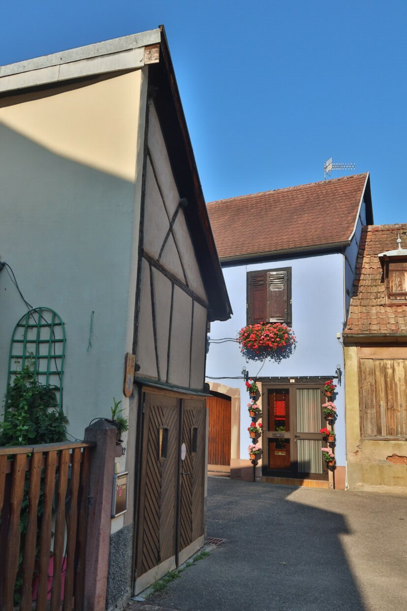 Cosa vedere a Bergheim Alsazia