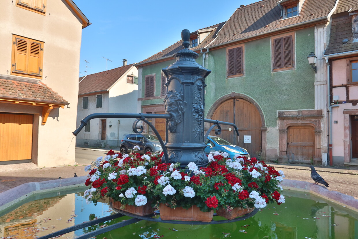 Cosa vedere a Bergheim Alsazia