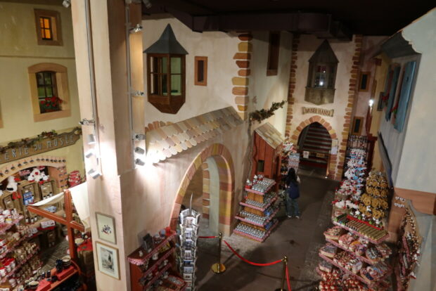 Cosa vedere a Colmar Alsazia Francia