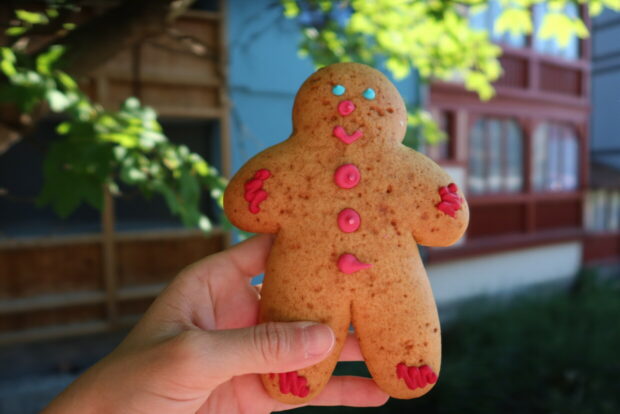 Cosa vedere a Colmar Alsazia Francia