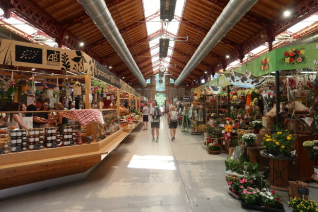 Cosa vedere a Colmar Alsazia Francia