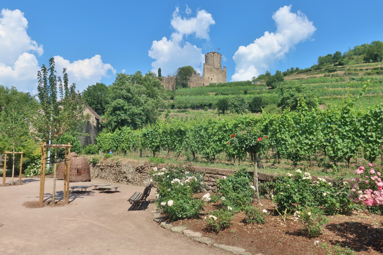 Cosa vedere a Kaysersberg Alsazia