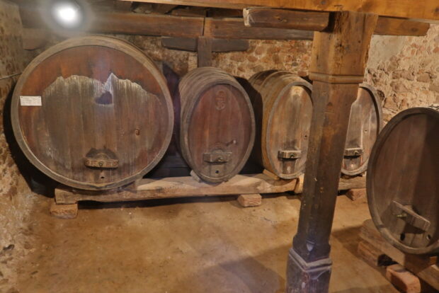 Cosa vedere a Riquewihr Alsazia La Bella e La Bestia