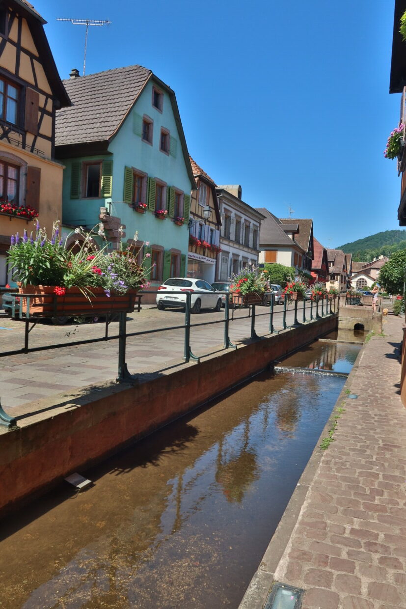 Ribeauvillé cosa vedere Alsazia