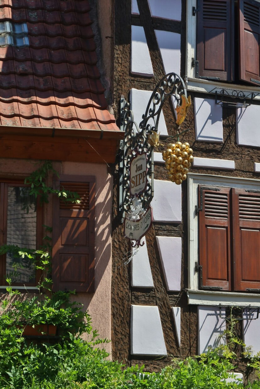 Ribeauvillé cosa vedere Alsazia