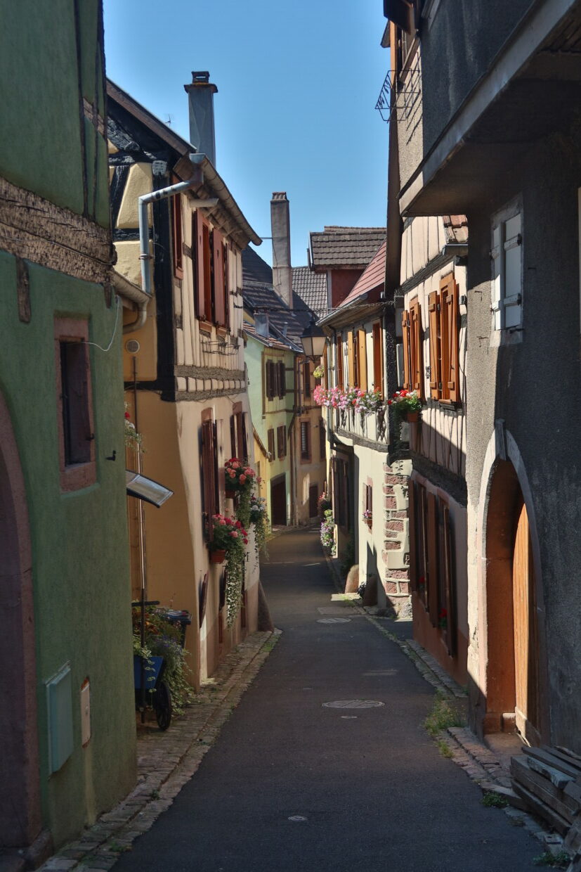 Ribeauvillé cosa vedere Alsazia