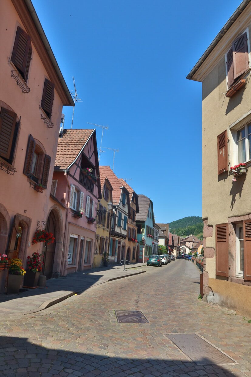 Ribeauvillé cosa vedere Alsazia