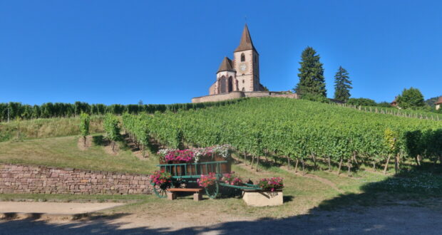 Visitare Hunawihr Alsazia Francia Cicogne
