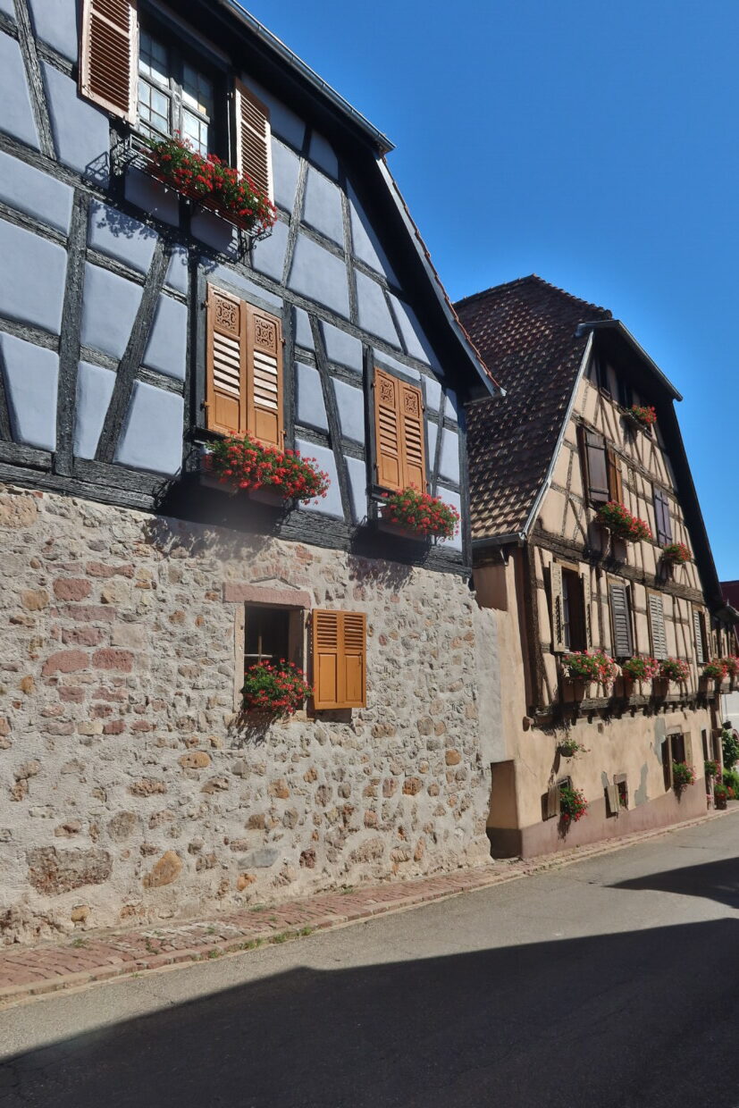 Visitare Hunawihr Alsazia Francia Cicogne