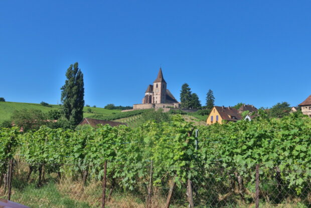 Visitare Hunawihr Alsazia Francia Cicogne