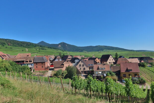 Visitare Hunawihr Alsazia Francia Cicogne