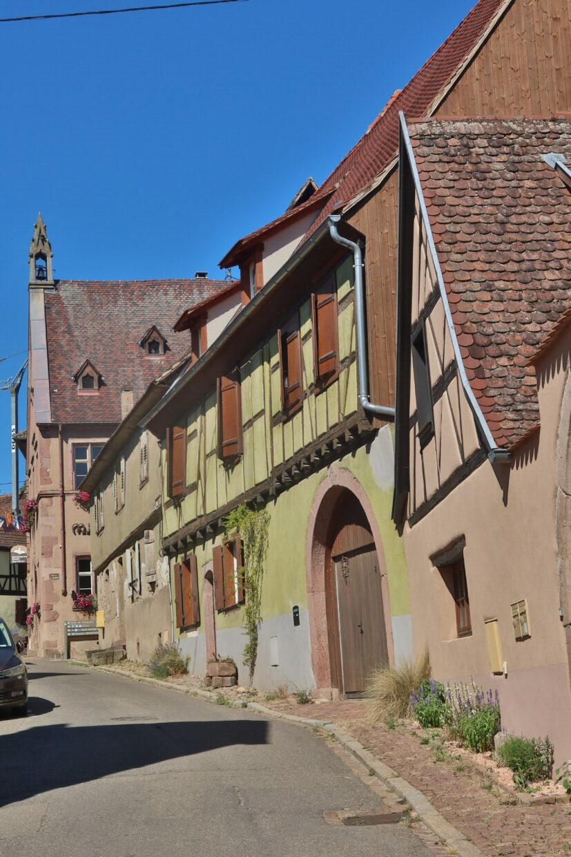 Visitare Hunawihr Alsazia Francia Cicogne