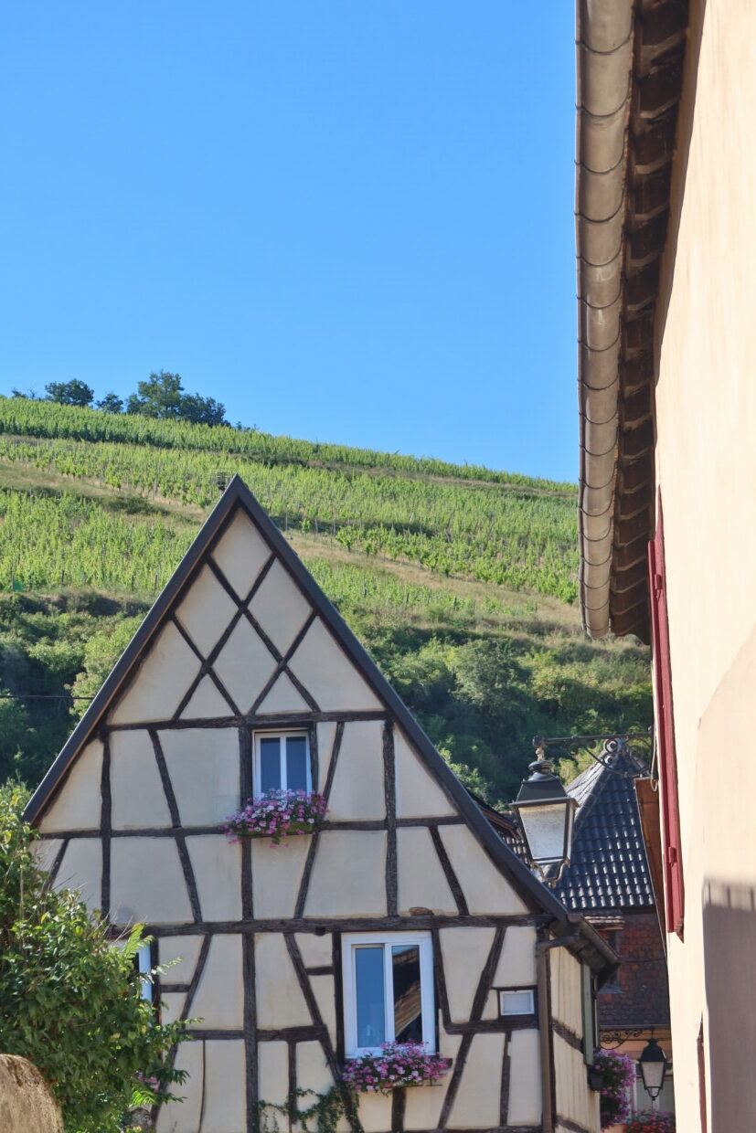 visitare turckheim cosa vedere a turckheim alsazia francia